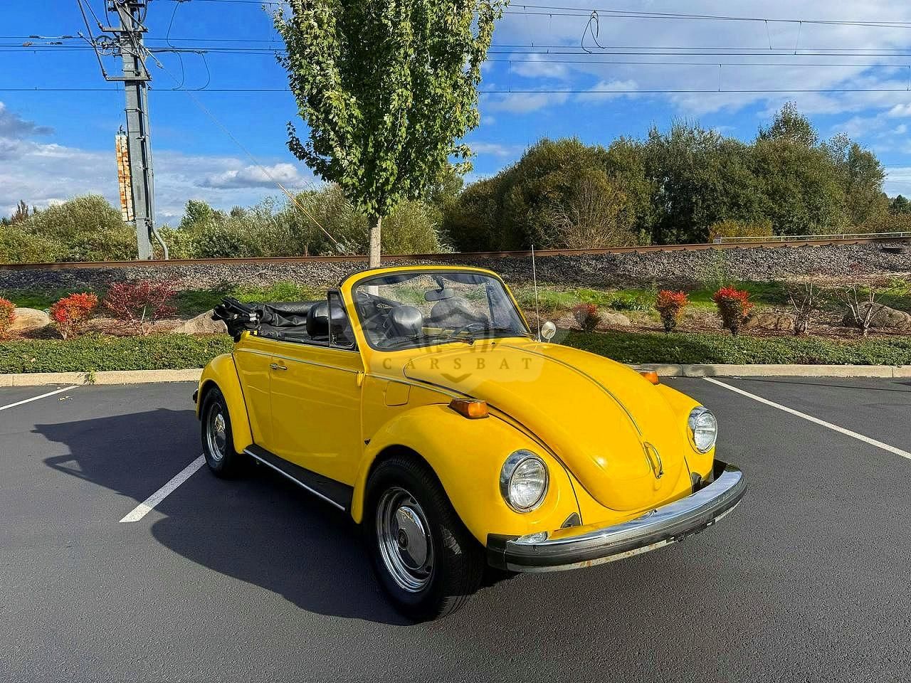 Volkswagen Beetle 1979