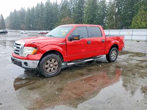 Ford F-150 4.6L 8 2009