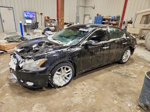 Nissan Maxima 3.5L 6 2010