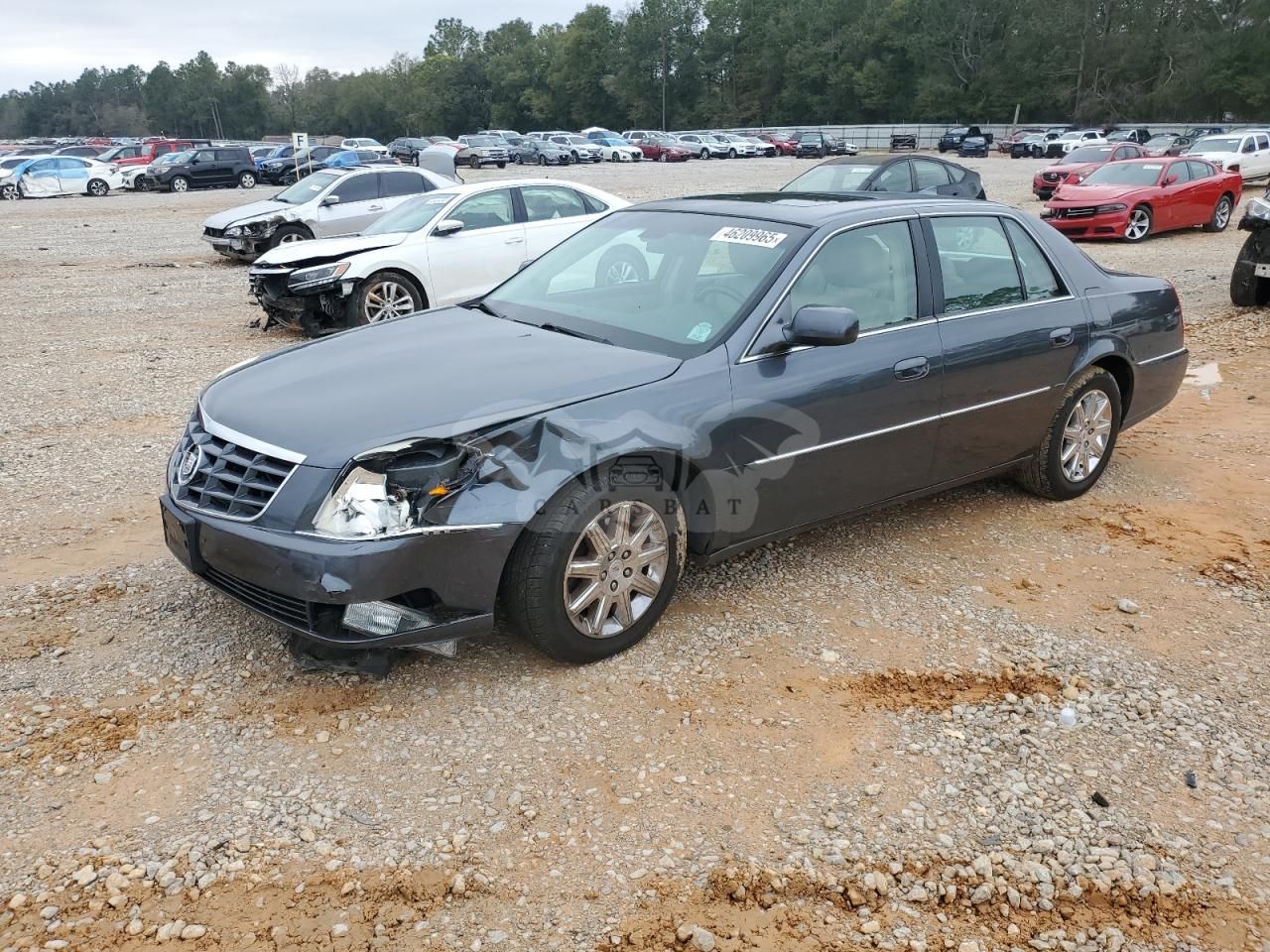 Cadillac DTS PREMIUM COLLECTION 4.6L 8 2010