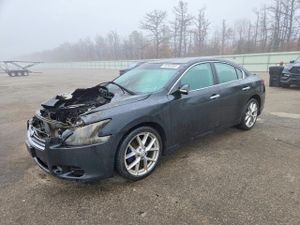 Nissan Maxima 3.5L 6 2010