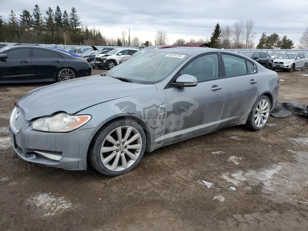 Jaguar XF LUXURY 4.2L 8 2010