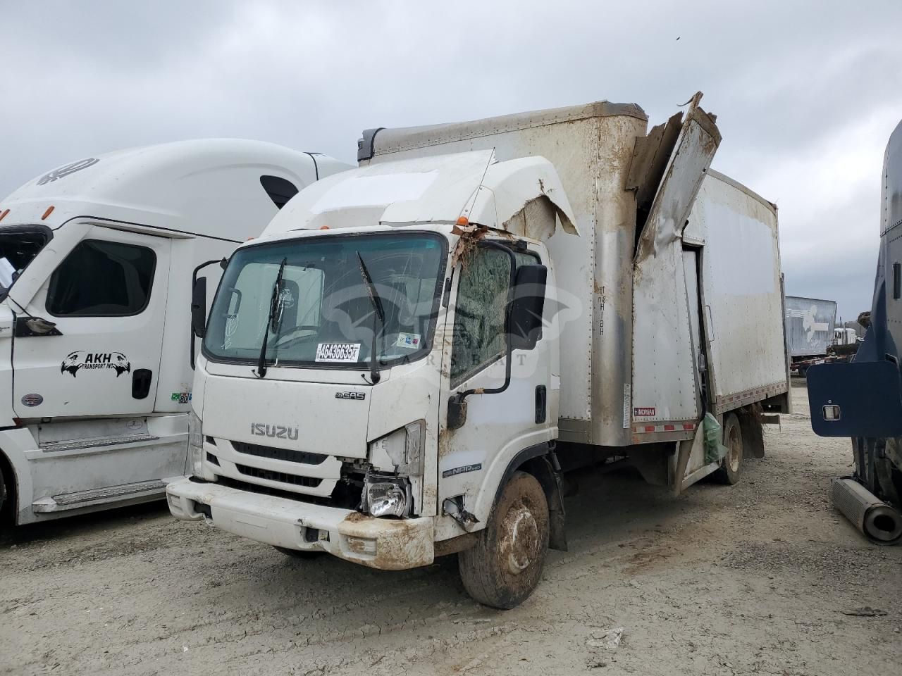 Isuzu NPR 6.6L 8 2021