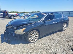Nissan Maxima 3.5L 6 2011