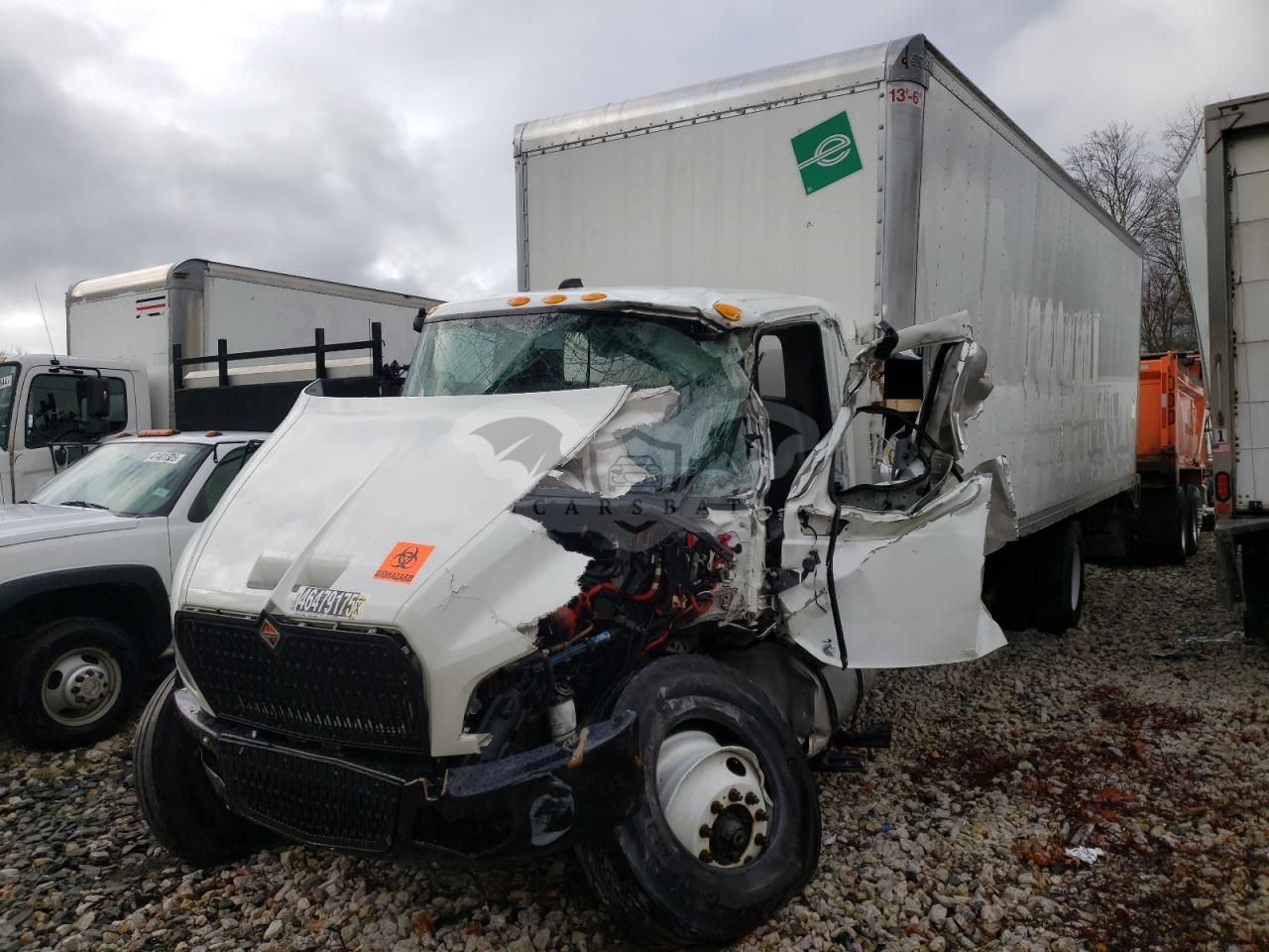 International MV Series 6.7L 6 2024