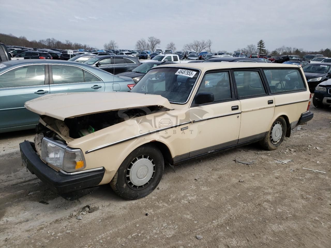 Volvo 245 DL 2.3L 4 1988