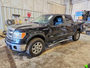 Ford F-150 3.5L 6 2013
