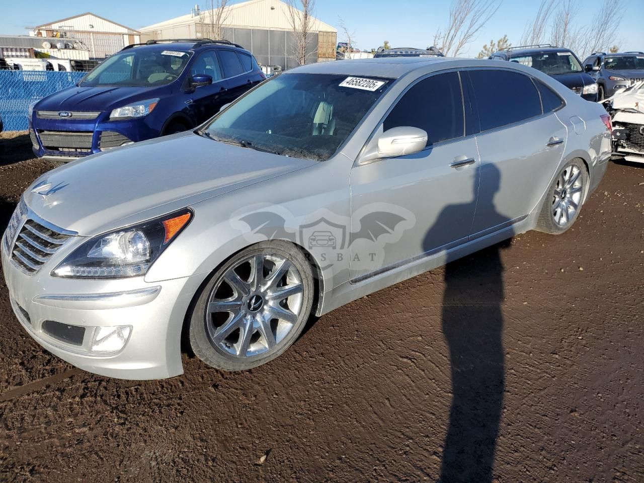 Hyundai Equus SIGNATURE 5.0L 8 2012