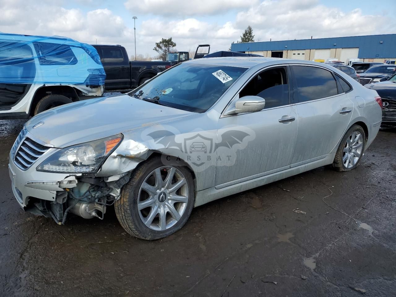 Hyundai Equus SIGNATURE 5.0L 8 2013