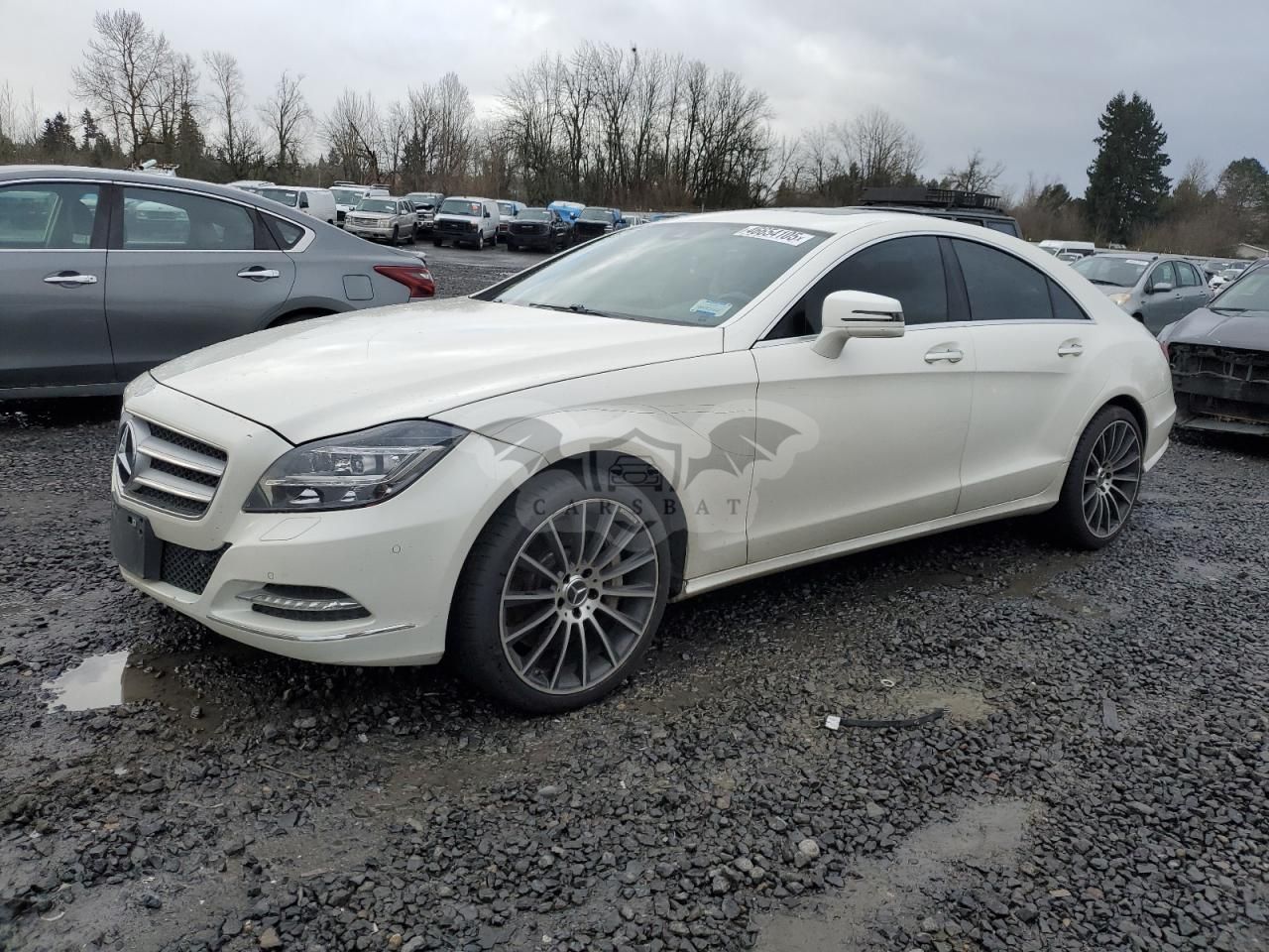 Mercedes-Benz CLS 550 4MATIC 4.6L 8 2014