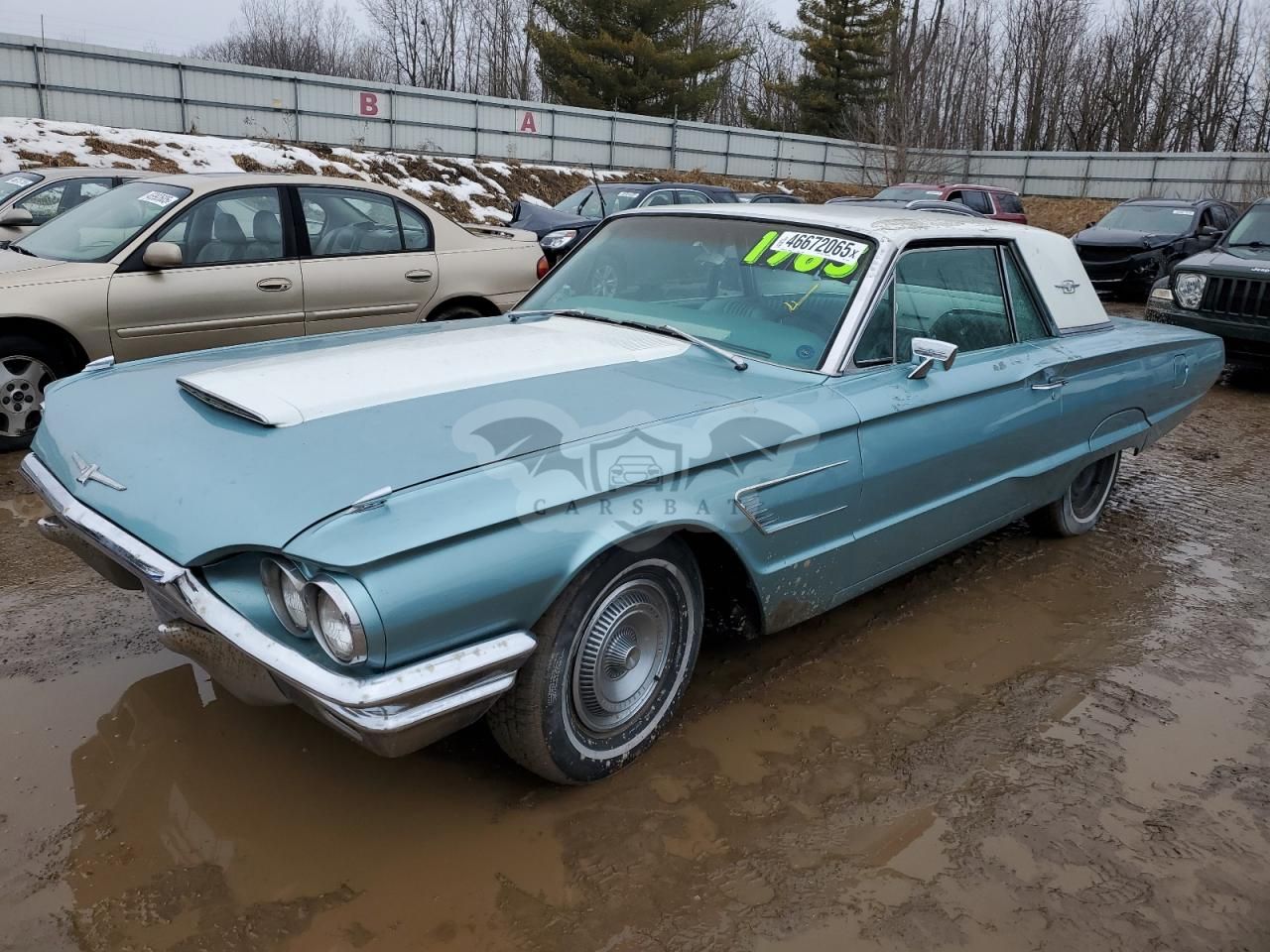 Ford Thunderbird 1965
