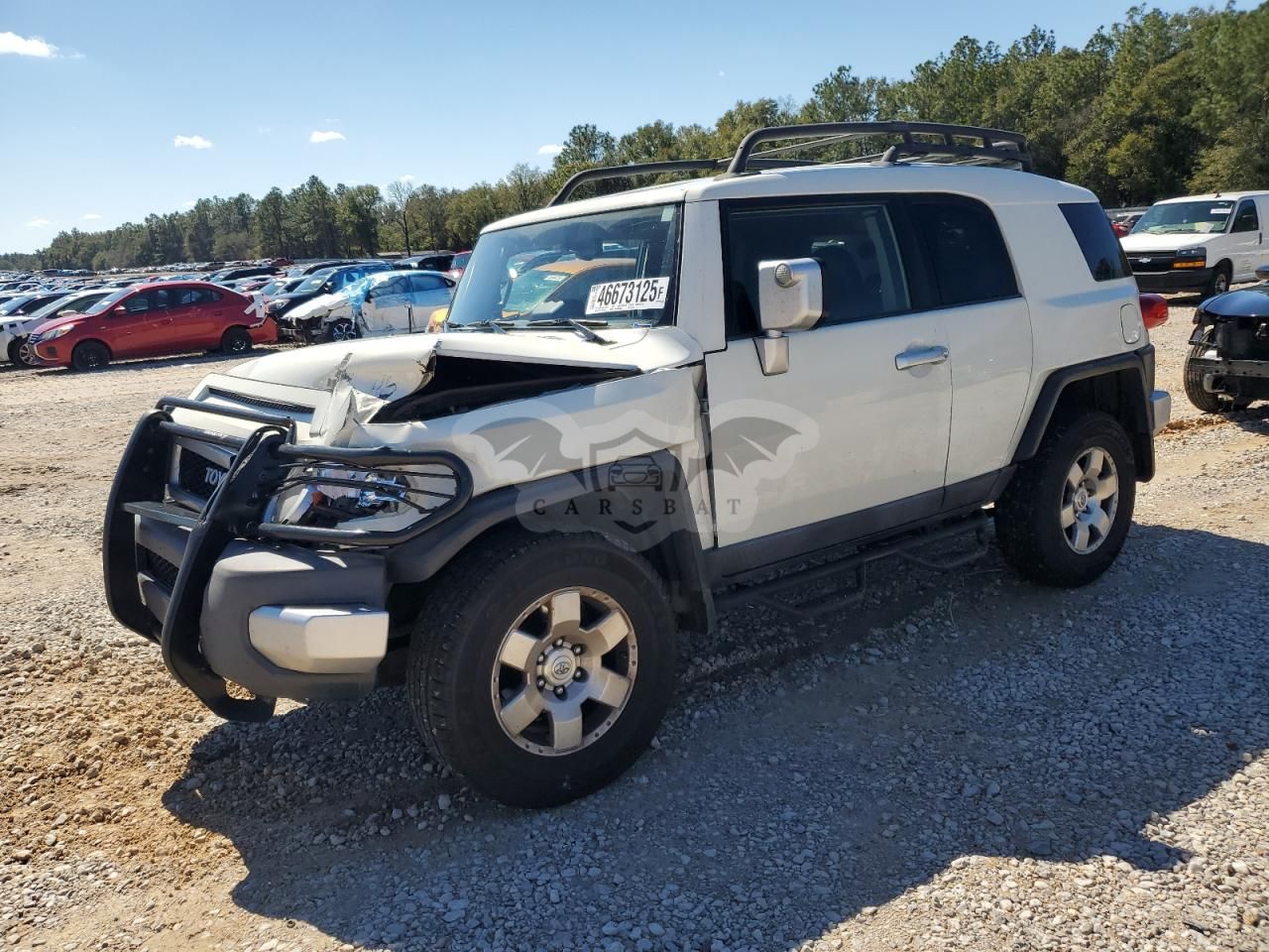 Toyota FJ Cruiser 4.0L 6 2010