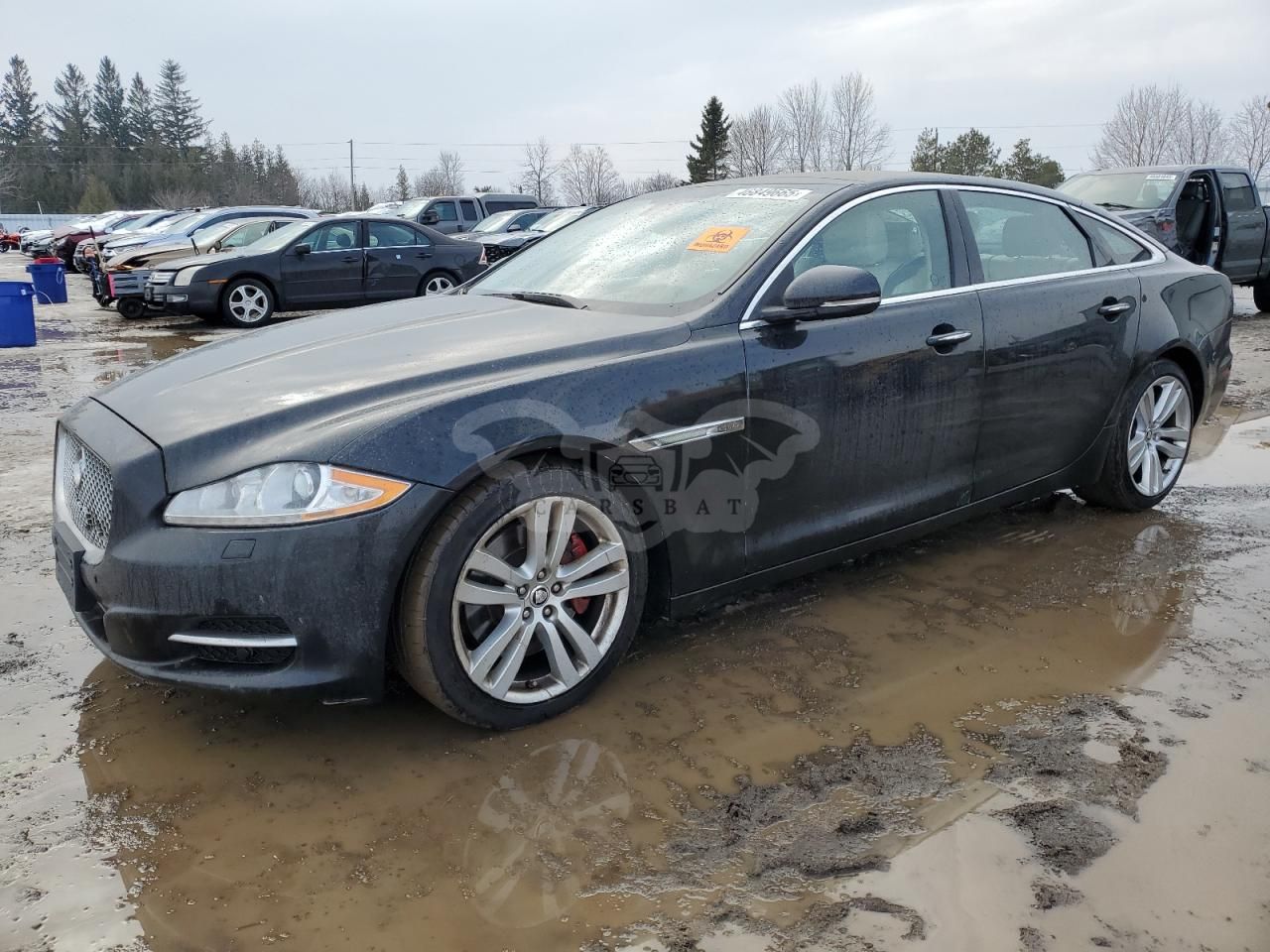 Jaguar XJ PORTFOLIO 3.0L 6 2013