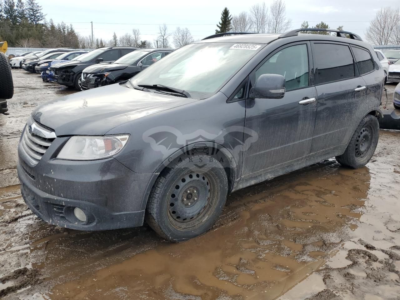 Subaru Tribeca LIMITED 3.6L 6 2008
