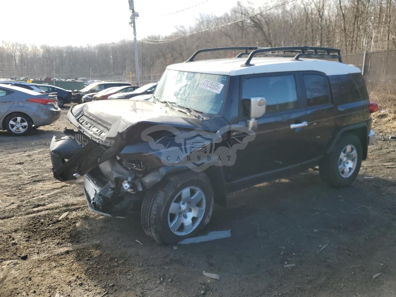 Toyota FJ Cruiser 4.0L 6 2007