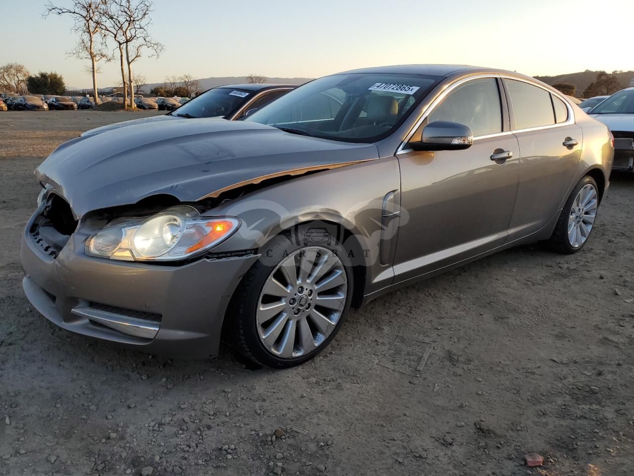 Jaguar XF PREMIUM LUXURY 4.2L 8 2009