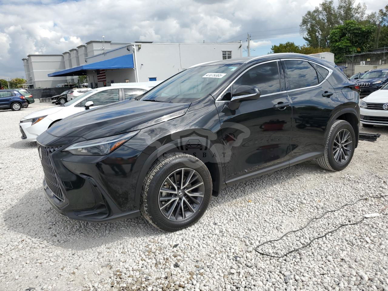 Lexus NX 250 2.5L  4 2022