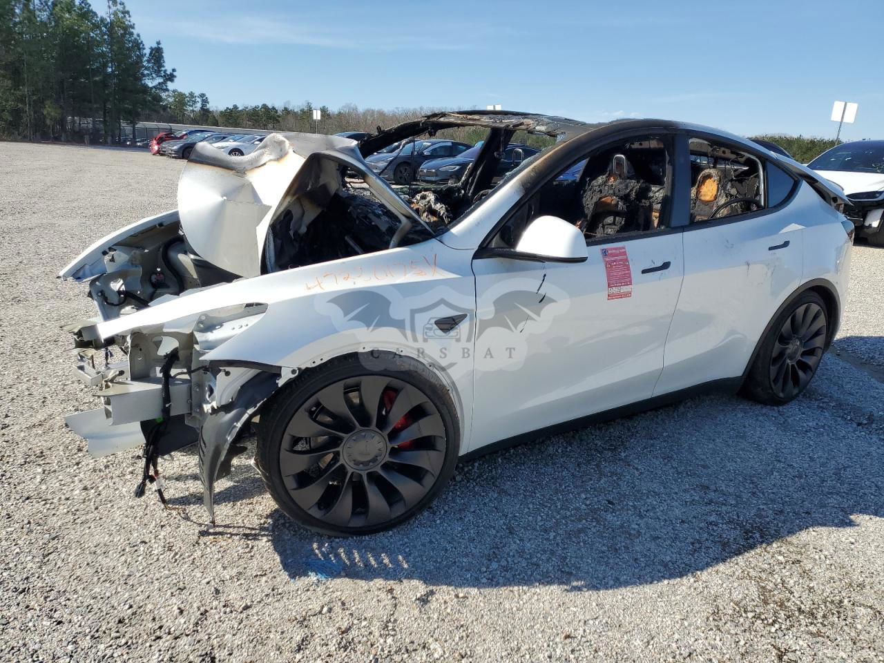 Tesla Model Y 2024