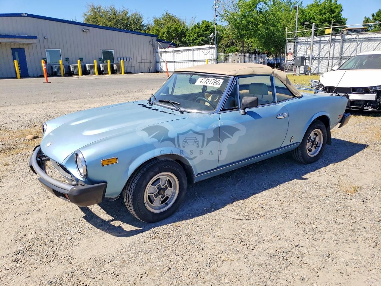 Fiat 124 2.0L 4 1981