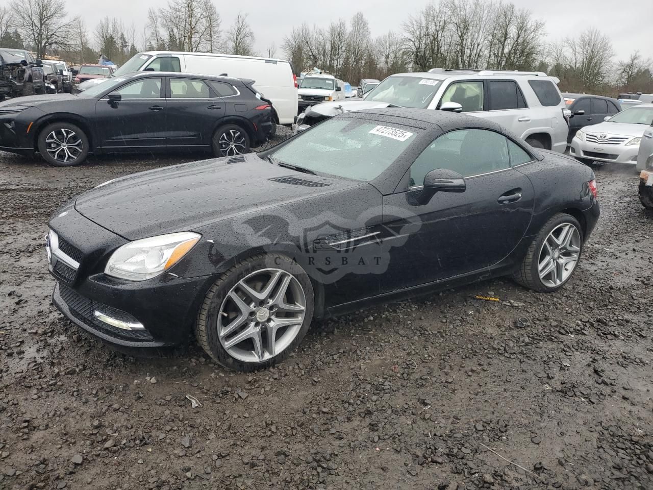 Mercedes-Benz SLK 250 1.8L 4 2013