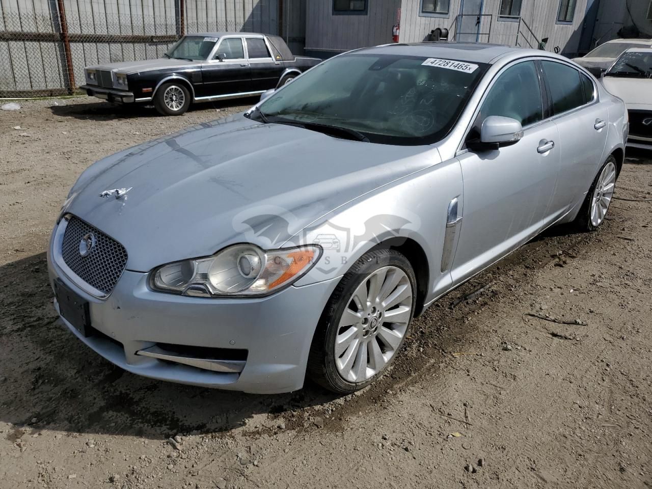 Jaguar XF PREMIUM LUXURY 4.2L 8 2009