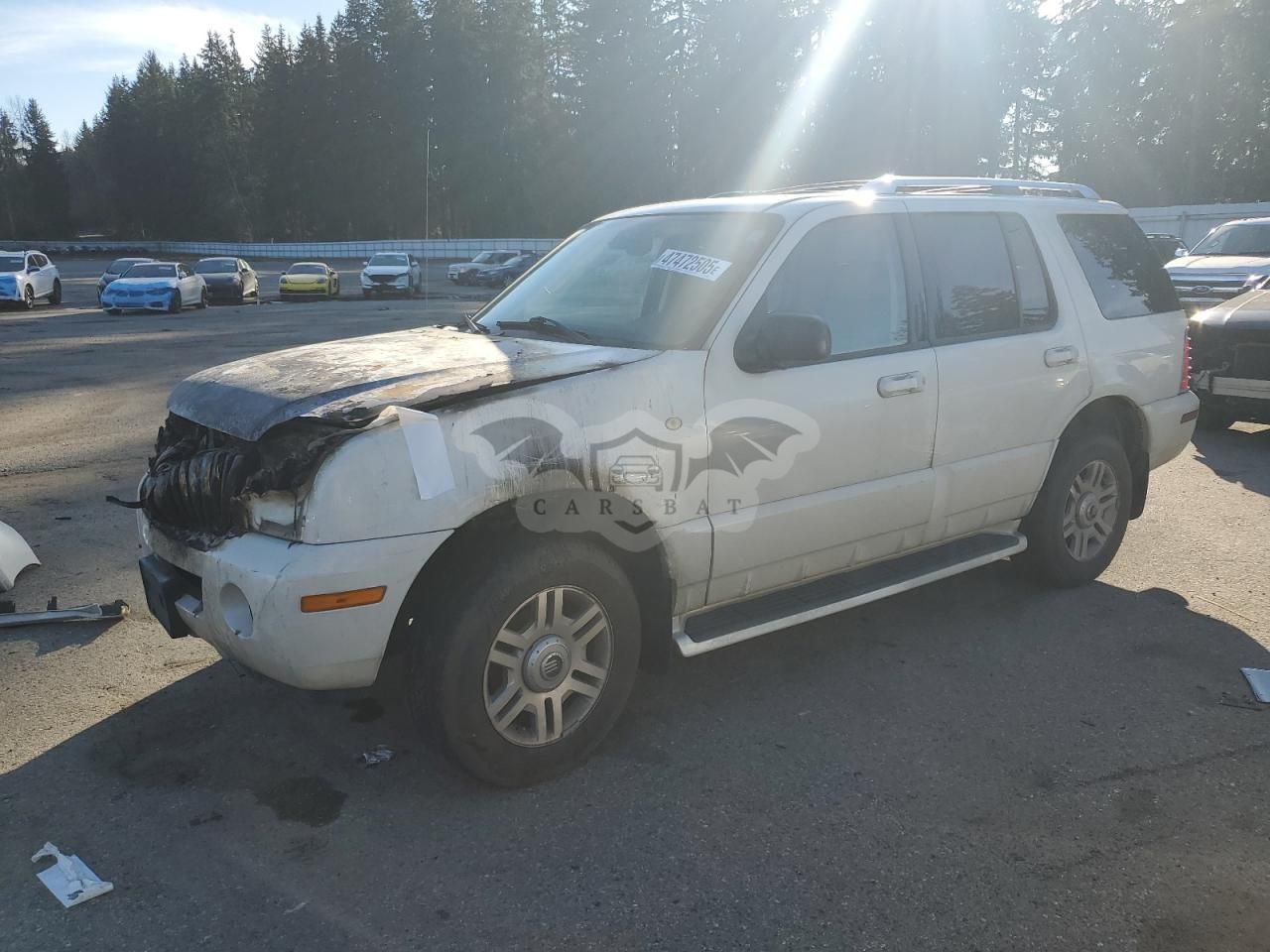 Mercury Mountaineer 4.6L 8 2004