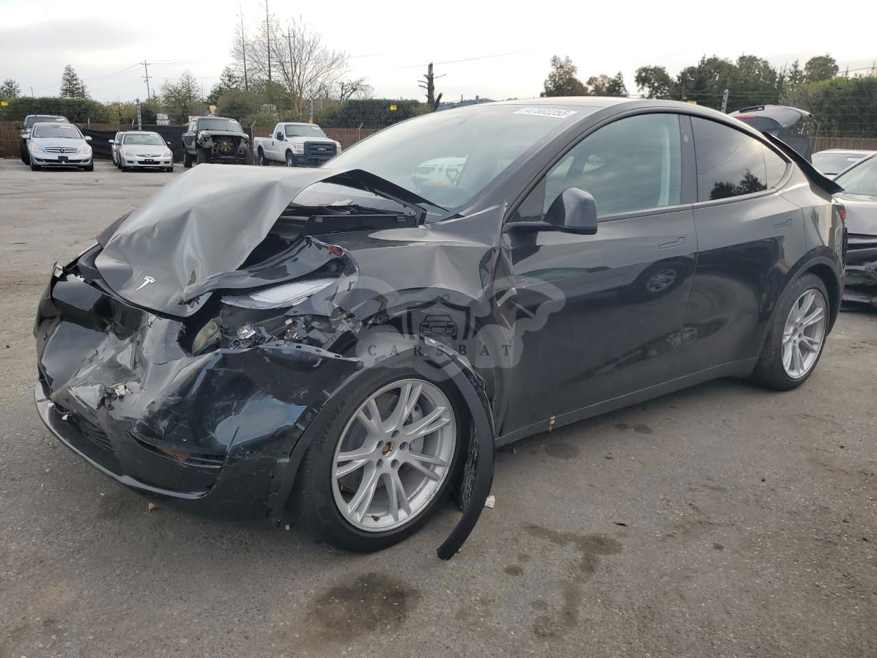 Tesla Model Y 2023