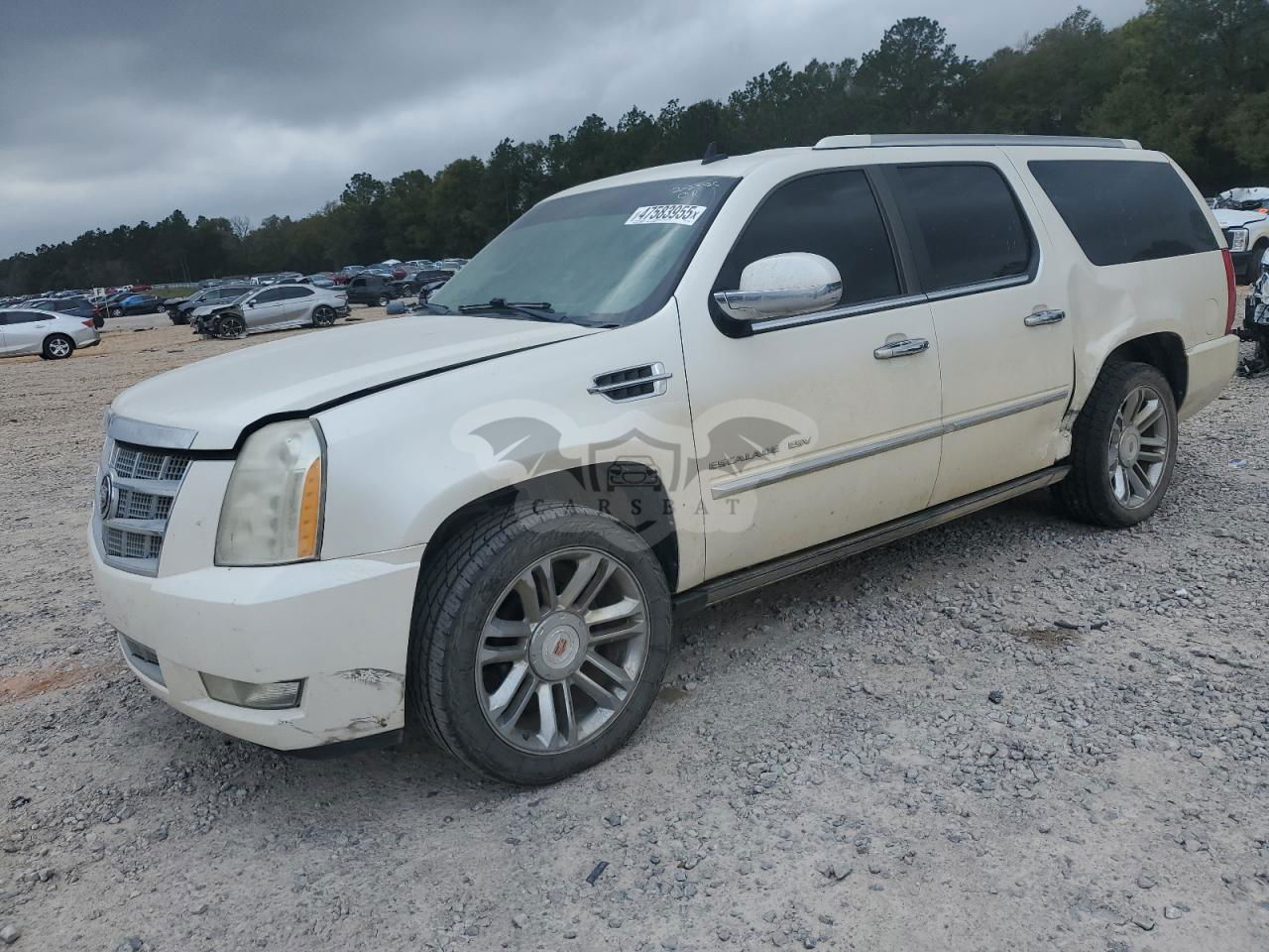 Cadillac Escalade ESV PLATINUM 6.2L  8 2010