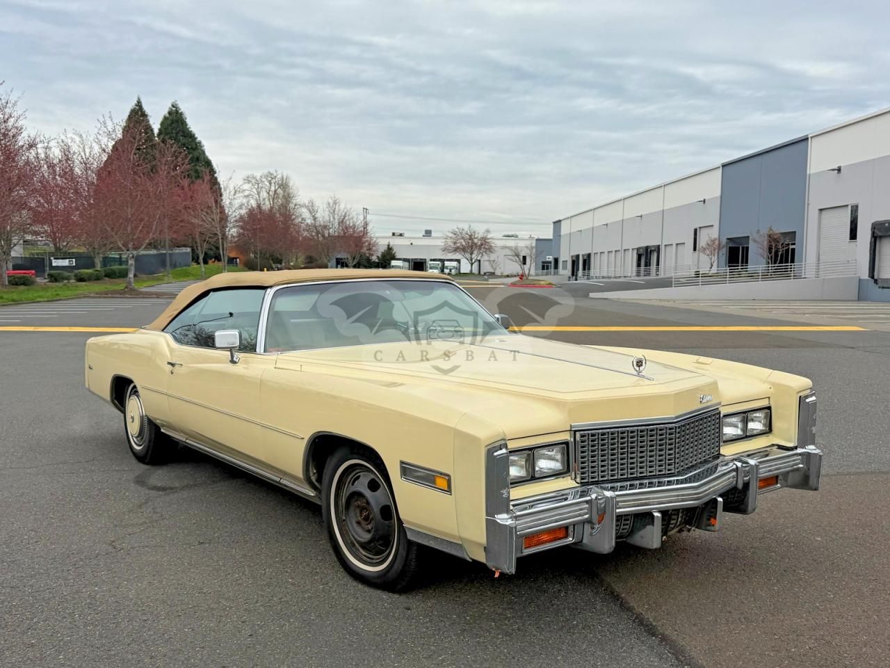 Cadillac Eldorado 1976