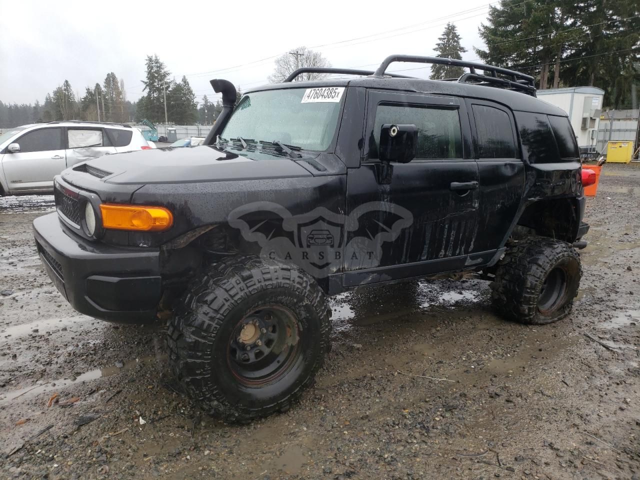 Toyota FJ Cruiser 4.0L 6 2010