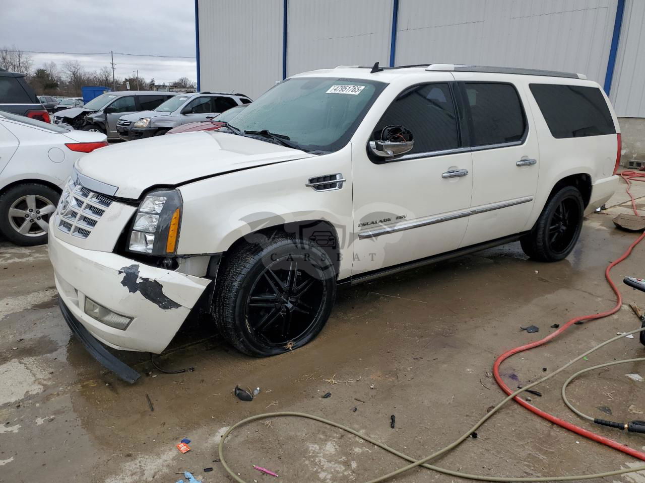 Cadillac Escalade ESV PREMIUM 6.2L  8 2011