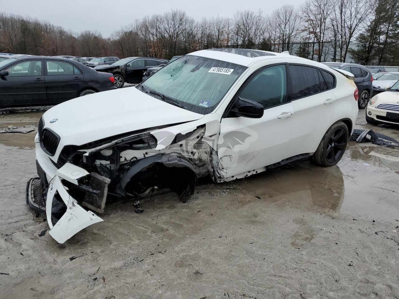 BMW X6 4.4L 8 2009