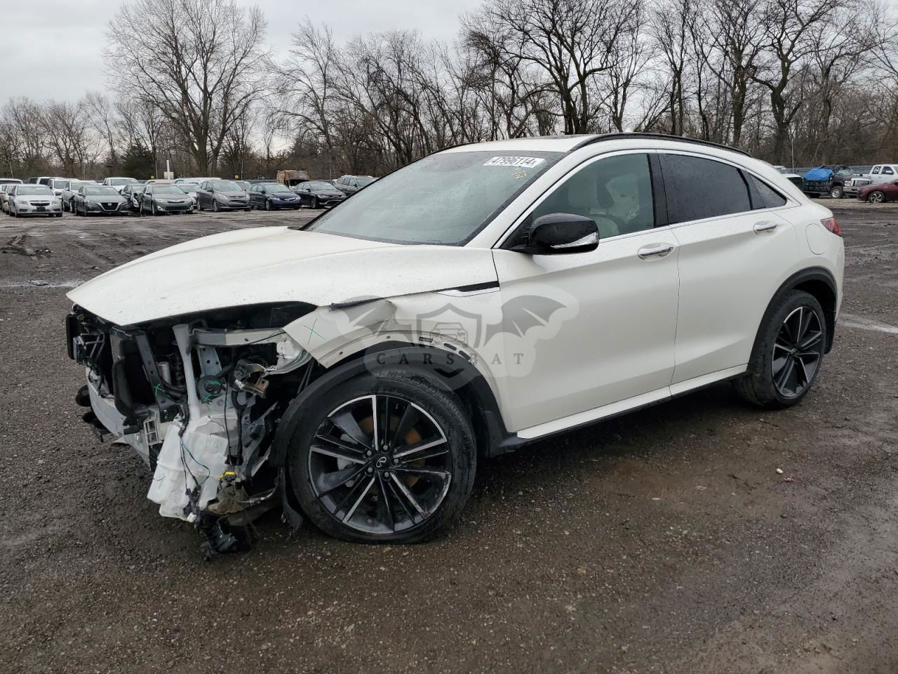 Infiniti QX50 2022