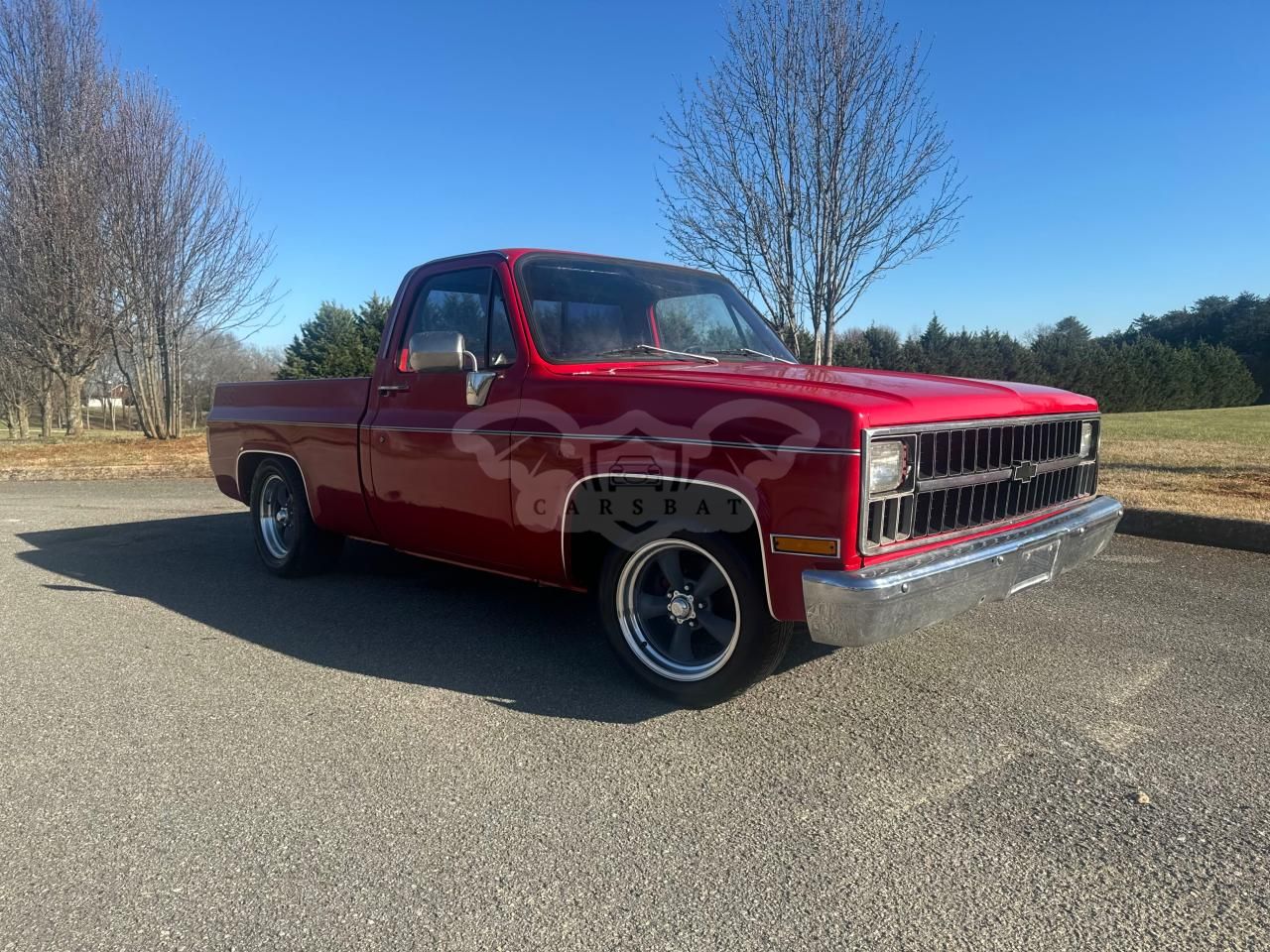 Chevrolet C-10 5.0L 8 1981