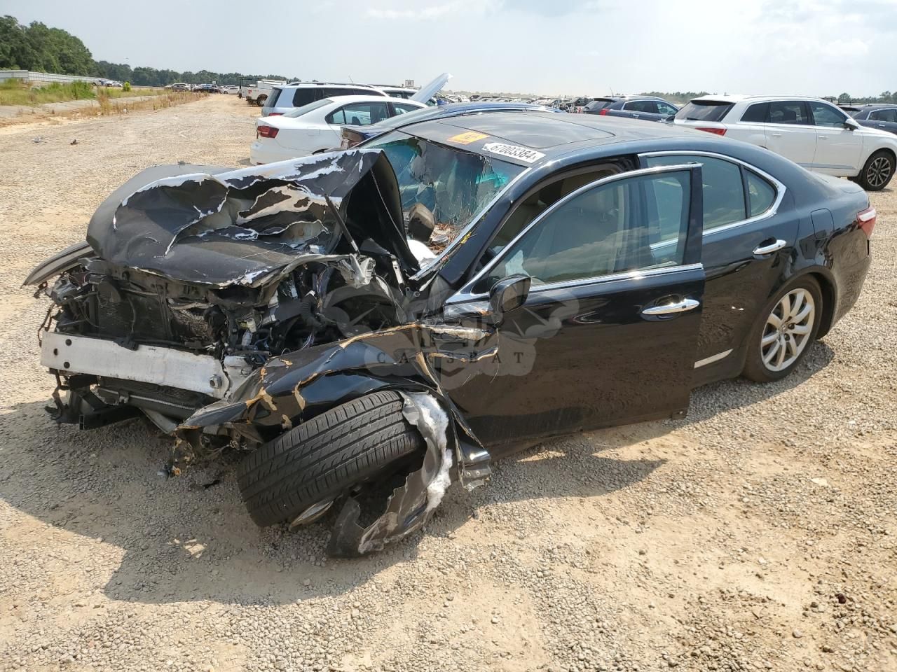Lexus LS 460 4.6L 8 2009