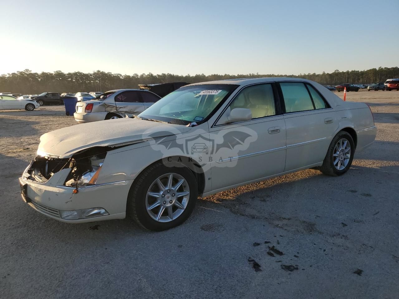 Cadillac DTS LUXURY COLLECTION 4.6L 8 2010