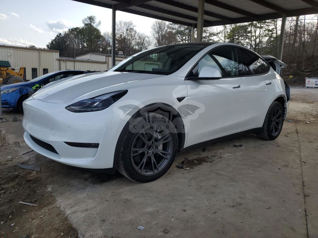 Tesla Model Y 2024