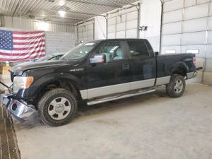 Ford F-150 SUPERCREW 5.4L 8 2010