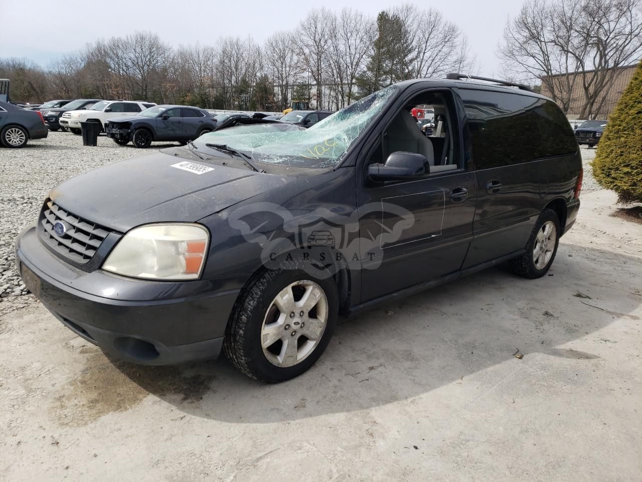 Ford Freestar SE 3.9L 6 2007