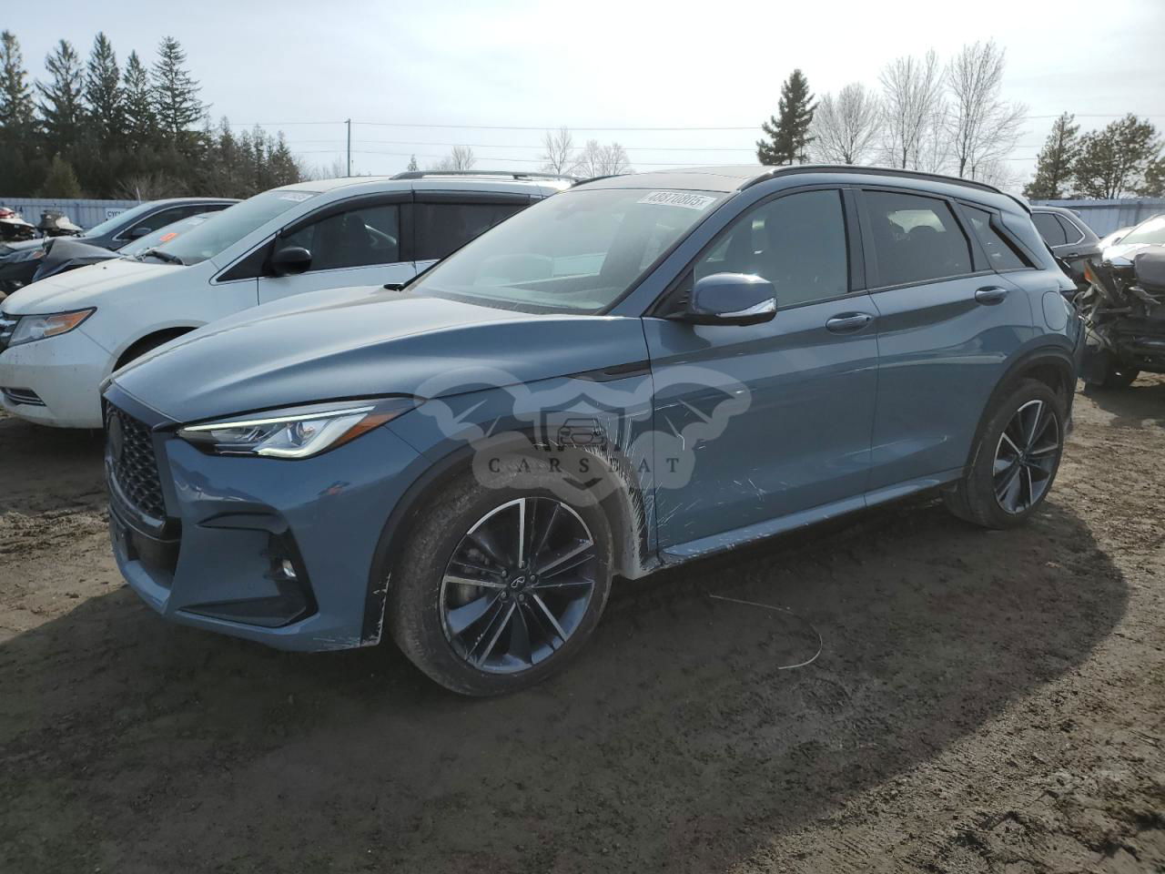 Infiniti QX50 SPORT 2.0L  4 2023