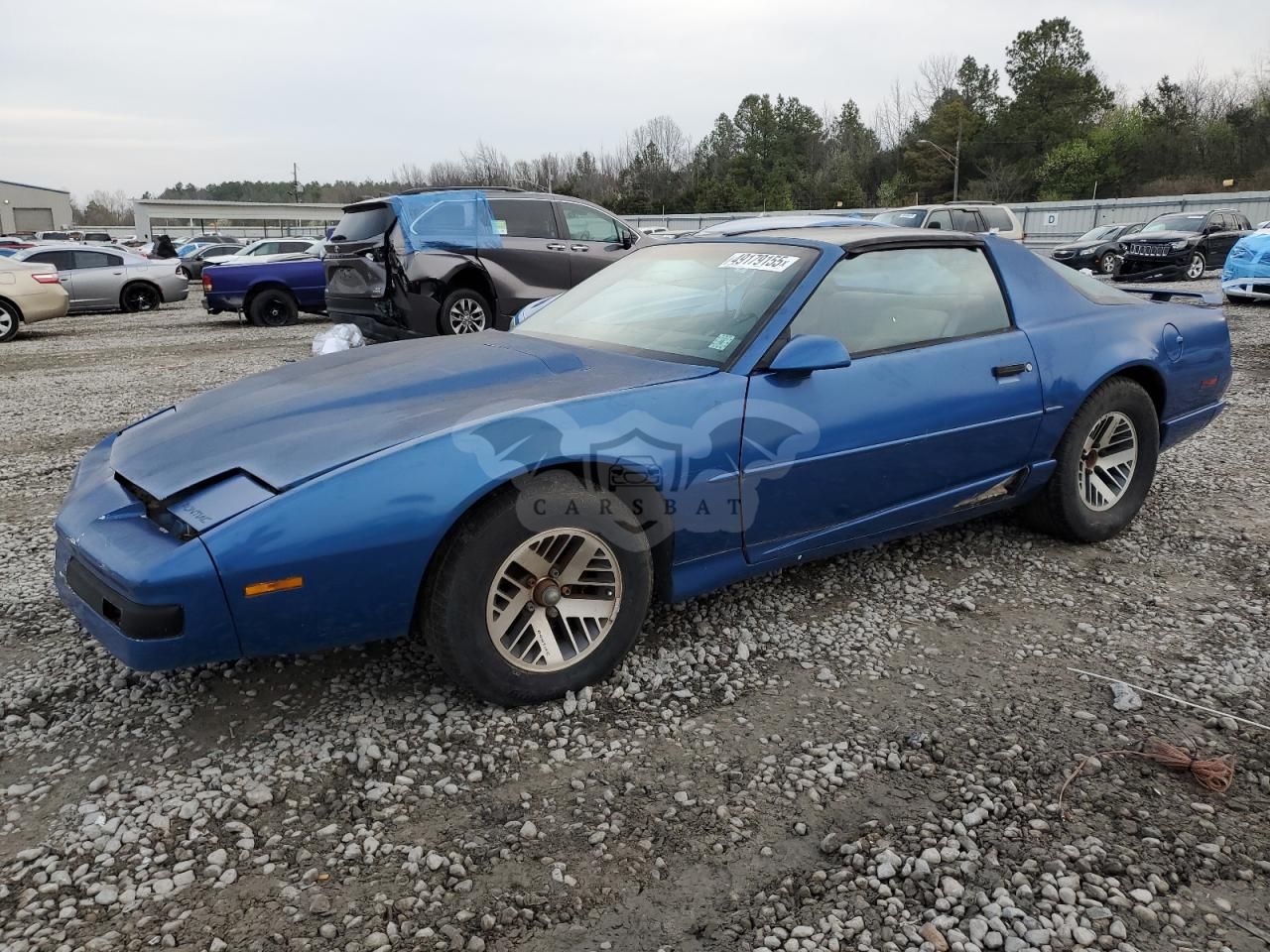 Pontiac Firebird 3.1L 6 1991