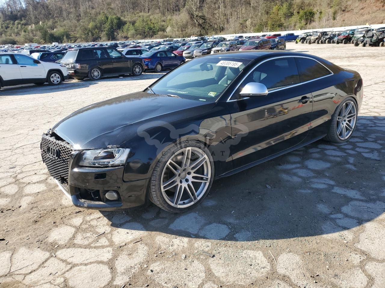 Audi S5 QUATTRO 4.2L 8 2009