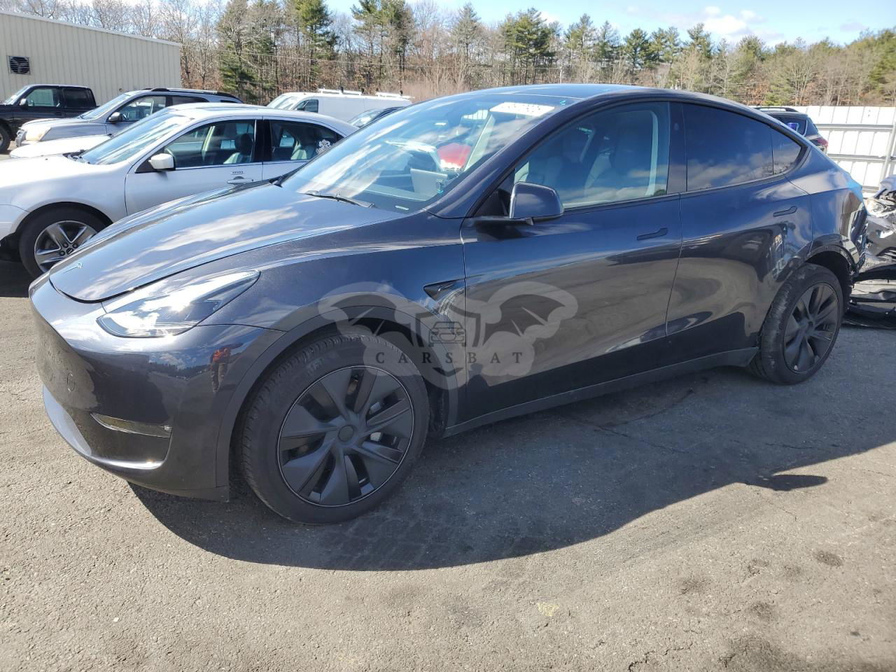 Tesla Model Y 2025