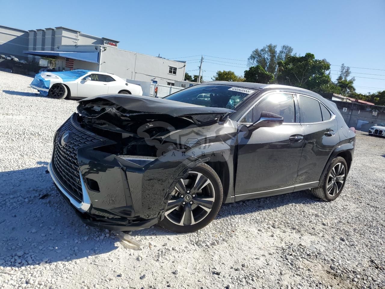 Lexus UX 300H BASE 2.0L 4 2025
