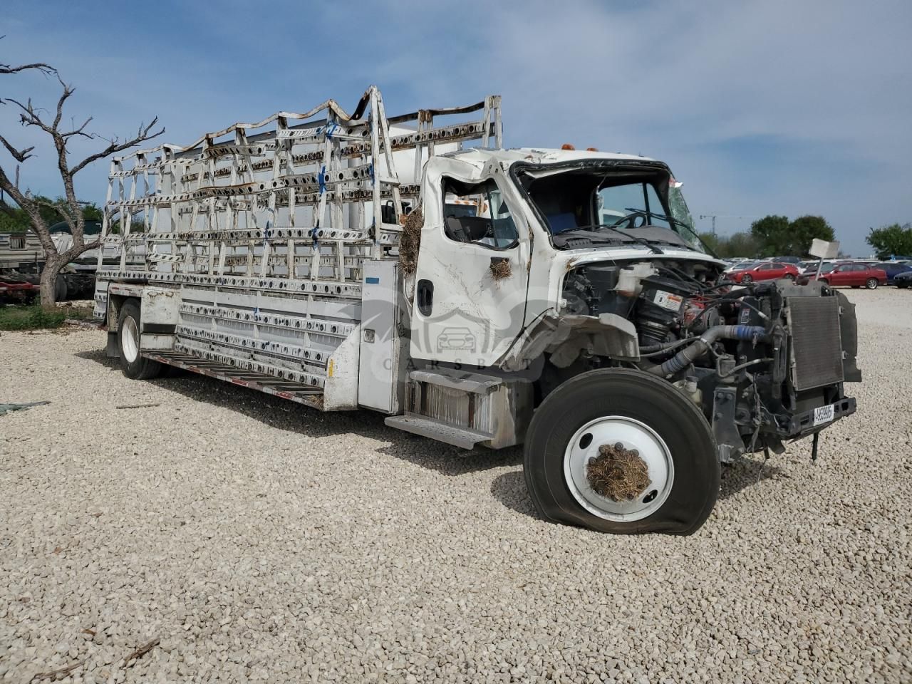 Freightliner Business Class M2 106 MEDIUM DUTY 6.7L 6 2021