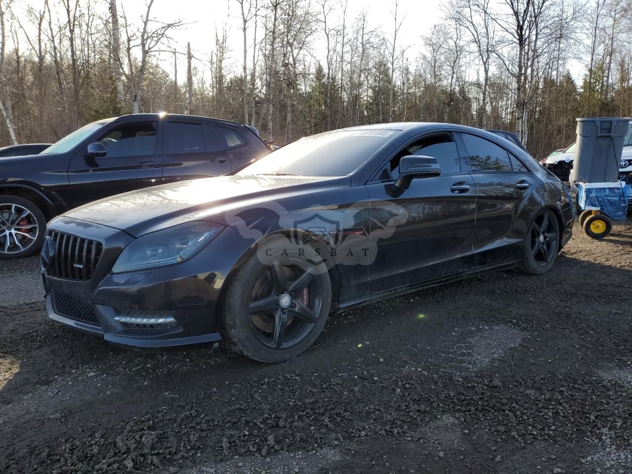 Mercedes-Benz CLS 550 4MATIC 4.6L 8 2012
