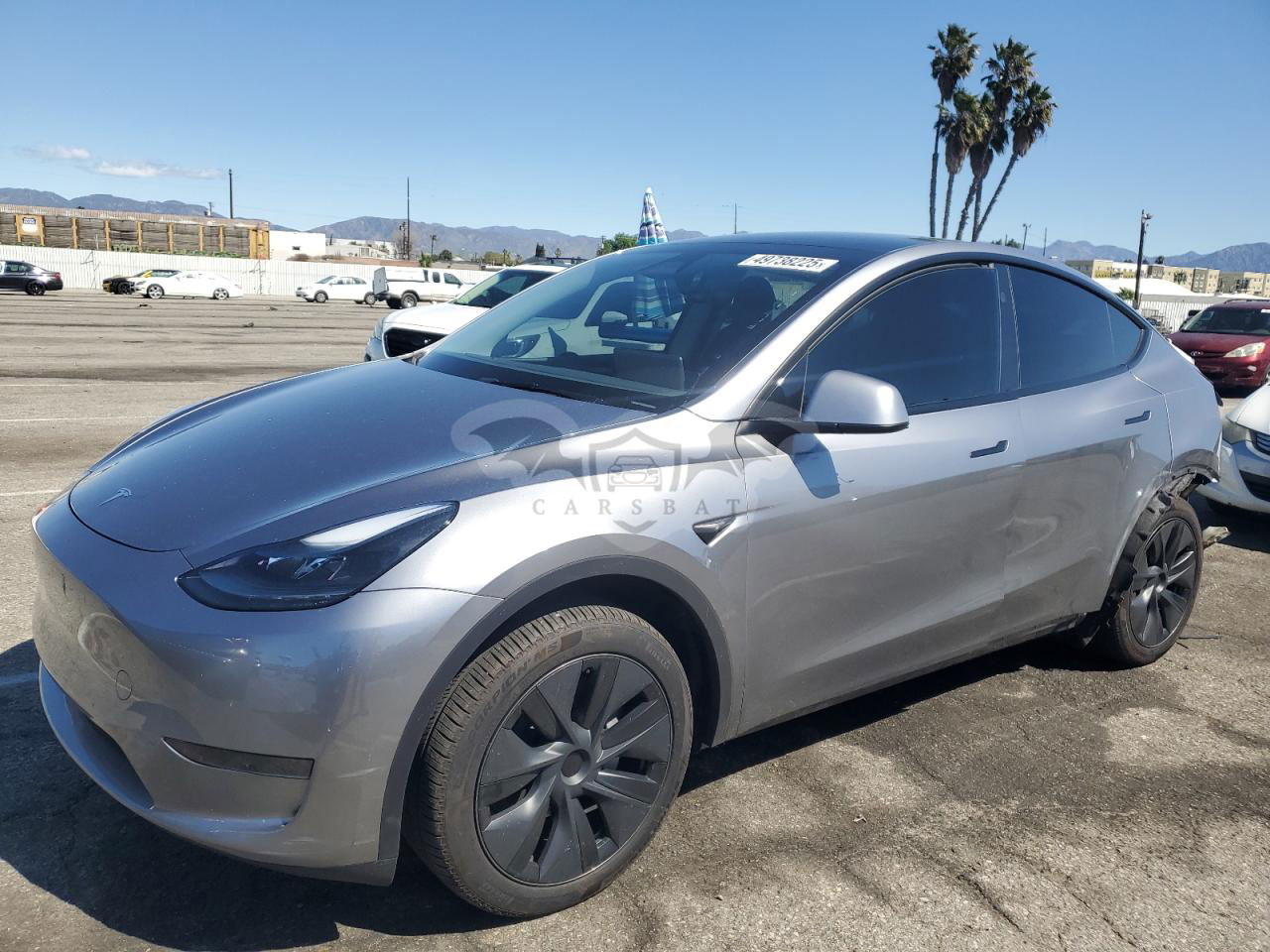 Tesla Model Y 2024