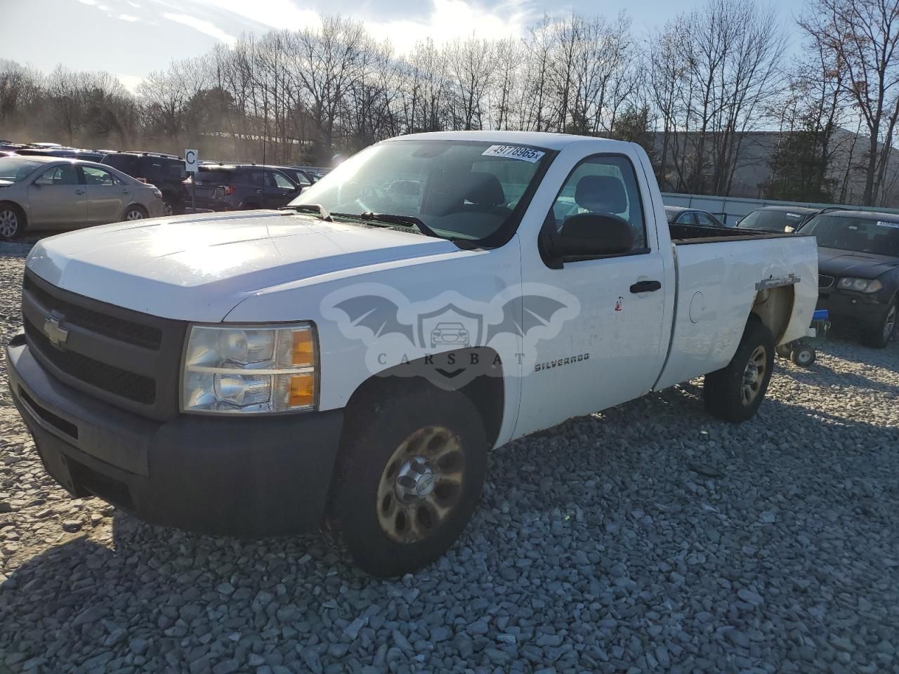 Chevrolet C/K 1500 C1500 2010