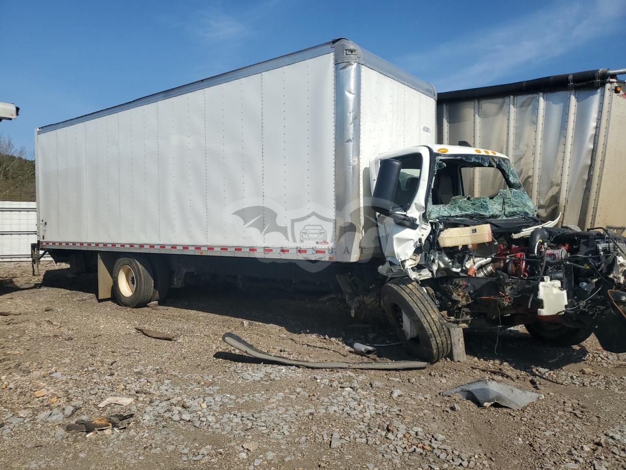 International MV Series 6.7L 6 2024