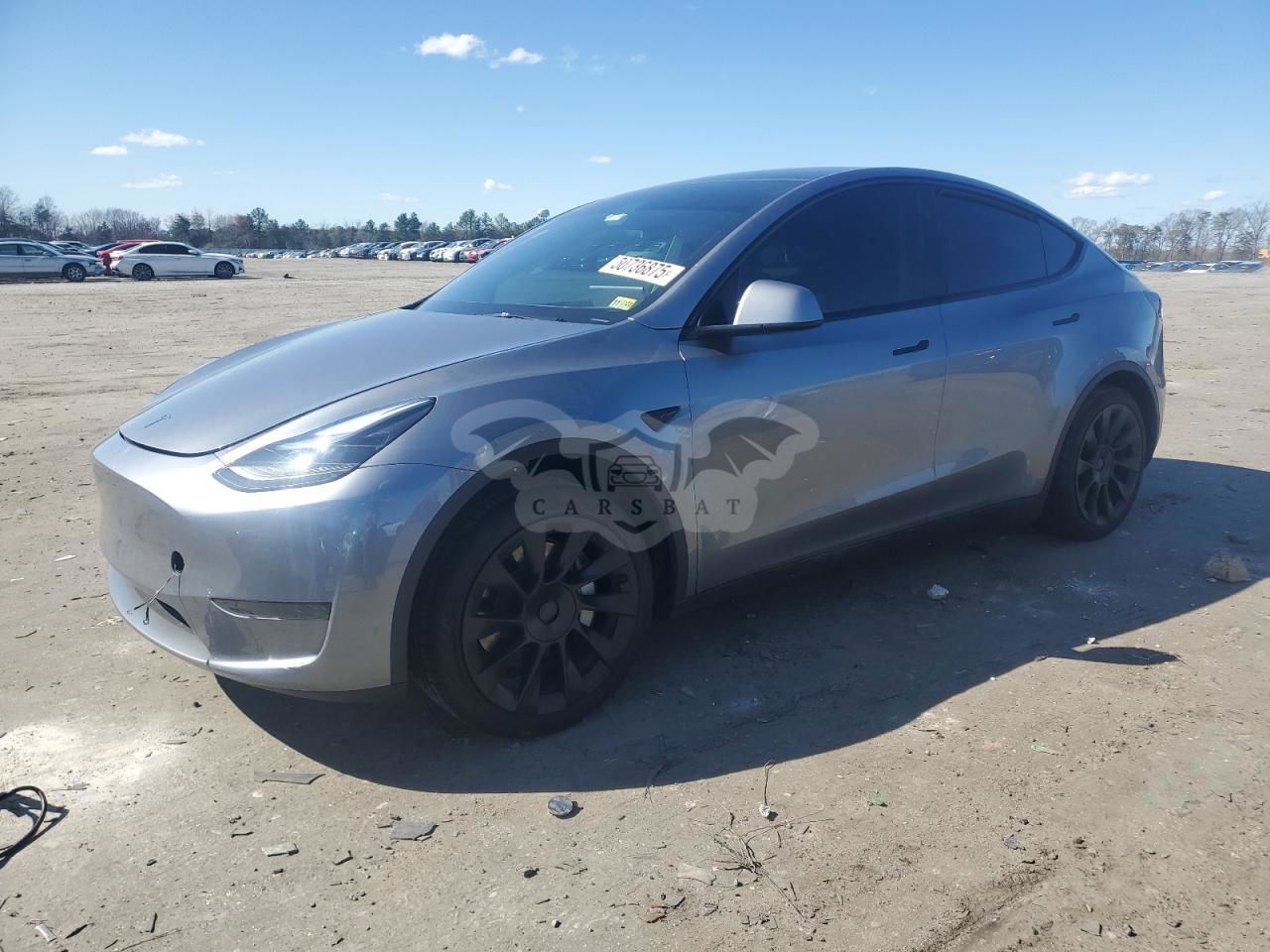 Tesla Model Y 2025